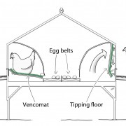 Grando nest