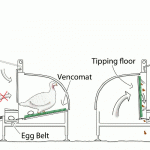 Vencomatic kalkoenen nest