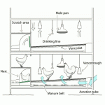 Vencomatic veranda breeder