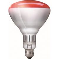 Biggenlamp 150W rood