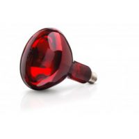 Biggenlamp 250W rood