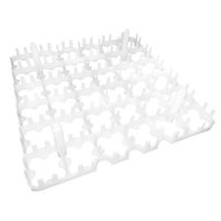 Plastic eiertray met tussenschotjes
